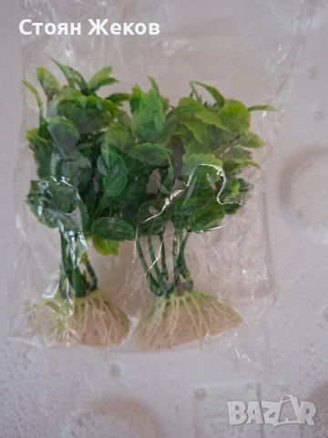 продавам аквариумни растения