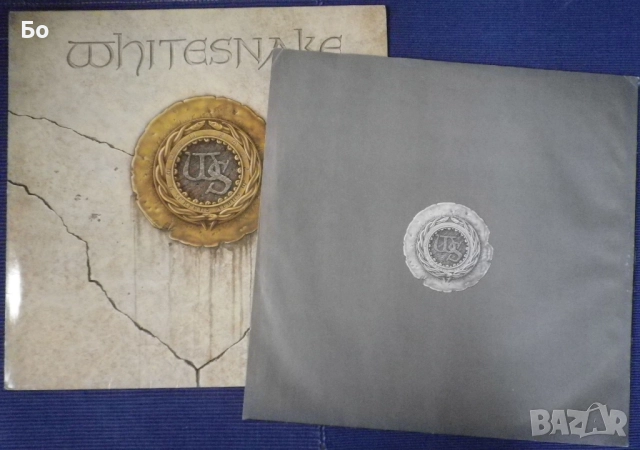 грамофонни плочи WhiteSnake , снимка 13 - Грамофонни плочи - 52474021