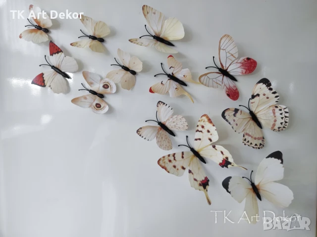 3D пеперуди за декорация с магнит, снимка 8 - Декорация за дома - 33538976