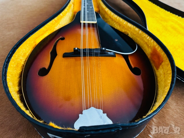 Made in JAPAN! 1970's Мадолина "The Kasuga" M-18 с оригинален кейс!, снимка 2 - Струнни инструменти - 53149511