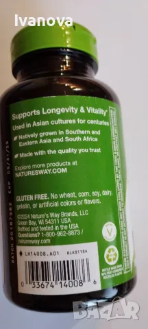 Готу Кола на Natures Way-180 капсули, снимка 3 - Хранителни добавки - 49785384