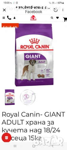 Храна за голямо куче 