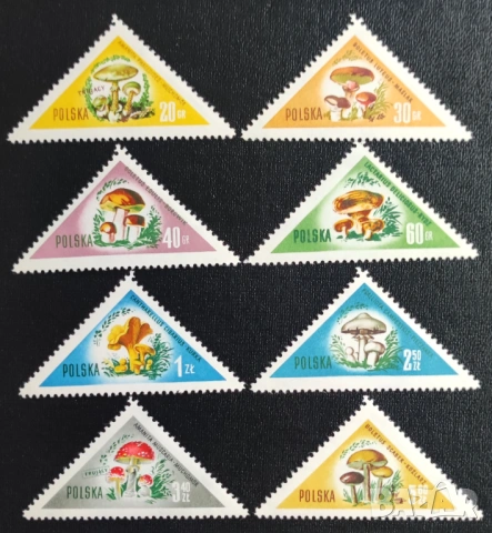 Полша, 1959 г. I лот - спорт, политика, гъби, самолети, изкуство, личности, космос, фолклор и др., снимка 3 - Филателия - 43610900