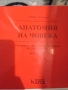 Анатомия на човека,овчаров, снимка 1