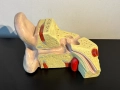 Соц Анатомичен Модел на Човешко Ухо, снимка 2