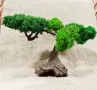 Ексклузивно коледно намаление! Бонсай със скандинавски мъх и естествено дърво., снимка 1
