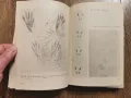 Наръчник на ловеца и риболовеца-Земиздат 1974г., снимка 9