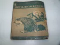 "През води и гори" от Емилиан Станев издание 1943г., снимка 1