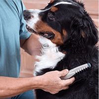 Инструмент за грижа за козината на домашни любимци - Knot Out Pet, снимка 2 - За кучета - 45305136