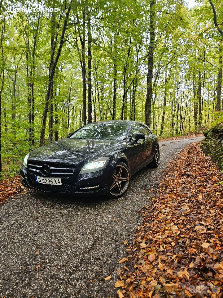 CLS 350d *F1*LSI*Memory*, снимка 1