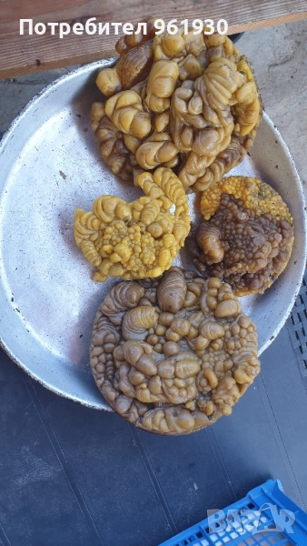 Продавам отличен претопен пчелен восък, снимка 1