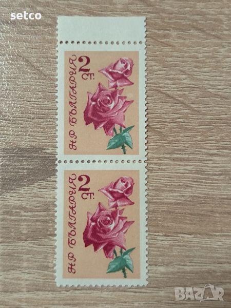 България Флора цветя рози 1962 г. чифт, снимка 1