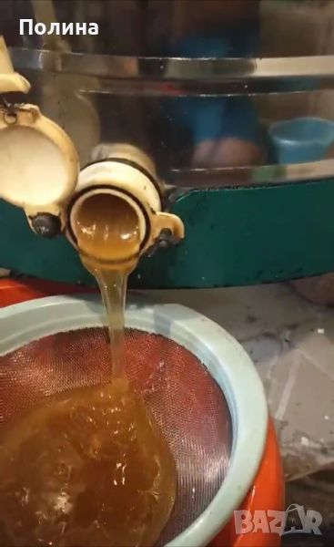 Домашен мед в буркани на едро 2024, снимка 1
