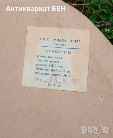 🖼️ ВИНТИДЖ ФОТОКАРТИНА 🇧🇬, снимка 8 - Колекции - 53479894