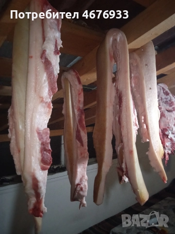 прясна сланина прасето е щавено пърлено два пъти както му е реда., снимка 4 - Прасета - 52776591