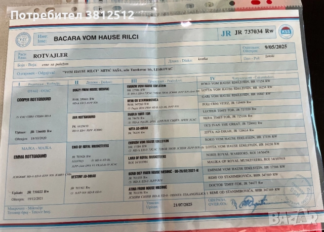 Продава се, снимка 2 - Ротвайлер - 52930962