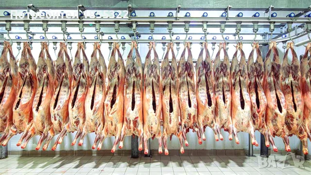 Работа във Великобритания , снимка 5 - Работа в Англия - 51430794