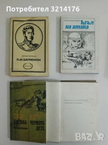 П. И. Багратион - Сергей Голубов 