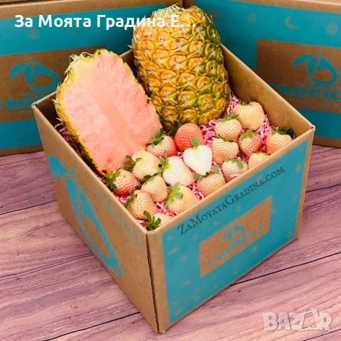 Ананасова Ягода - Бяла Ягода с вкус на Ананас , снимка 7 - Разсади - 53623978