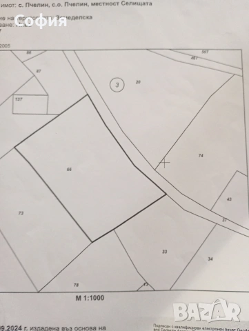 3/три декара Пчелински минерални бани , снимка 2 - Парцели - 53777368