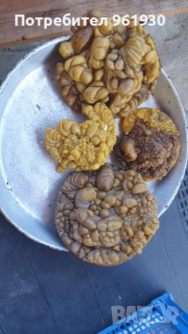 Продавам отличен претопен пчелен восък