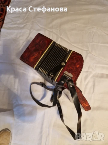 Работещ акордеон , снимка 3 - Акордеони - 51135481