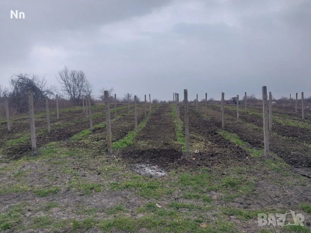 УСЛУГИ с трактор, Мото фреза, Косачка и чоторен свредел