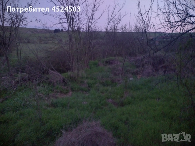 Дворно място село Цани Гинчево, снимка 2 - Парцели - 52354249