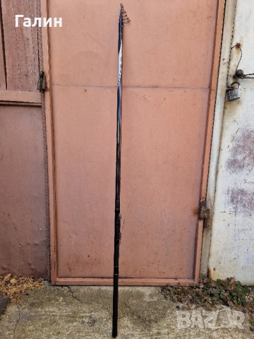 DAIWA Amorphous Bolo REGULAR 6м.