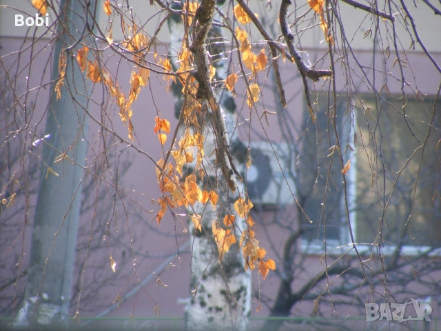 Fujifilm FinePix S5700, снимка 9 - Фотоапарати - 53655589