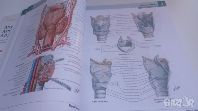 Атлас по анатомия - Atlas of Human Anatomy - Frank H. Netter, MD, 7-мо издание, снимка 9 - Учебници, учебни тетрадки - 54084472