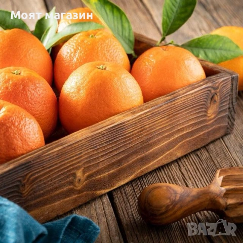 Цитрусови растения – Лимон , Портокал , Мандарина, Грейфрут ,Кумкуат , Лайм , Див лимон и Каламондин, снимка 8 - Градински цветя и растения - 53632778