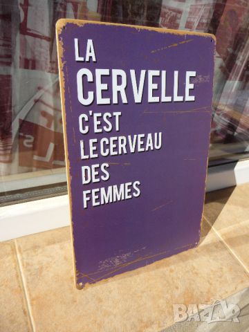 Метална табела надпис за мозъка на жените мозъци френски език, снимка 2 - Декорация за дома - 45710971