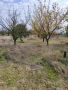 Дивдядово -Парцел с малка постройка - земеделска земя, снимка 8