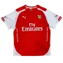 Оригинална мъжка тениска Puma x Arsenal 2014 - 2015 | L размер, снимка 1