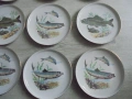 № 8467 Сет от 9 порцеланови чинии с илюстрации на риби  Colditz Germany, снимка 4