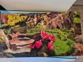 Аквариум 40 литра, снимка 10