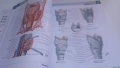 Атлас по анатомия - Atlas of Human Anatomy - Frank H. Netter, MD, 7-мо издание, снимка 9