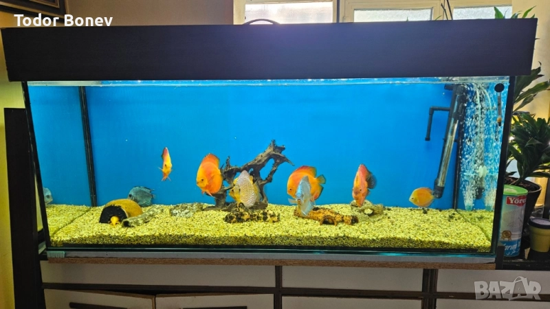 продавам аквариум 300литра, снимка 1