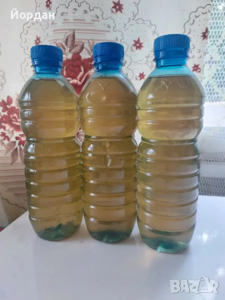 Домашен оцет с гъба, снимка 1