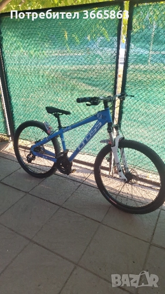 Cross dexter , снимка 1