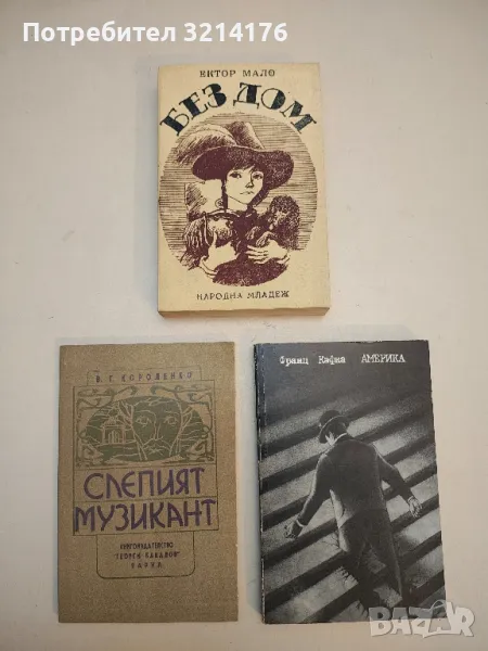 Без дом - Хектор Мало, снимка 1