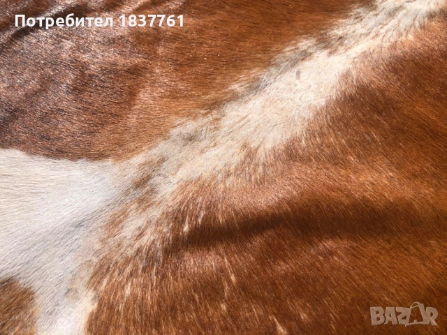 Телешка кожа , снимка 9 - Други стоки за дома - 52242953