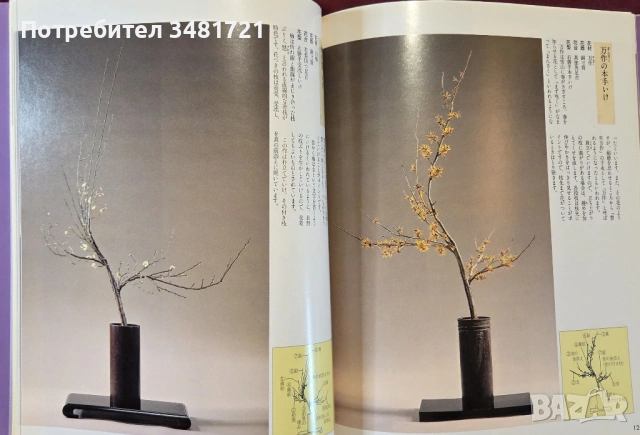 Икебана справочник - история, стилове и традиции / Ikebana, снимка 12 - Енциклопедии, справочници - 53748376