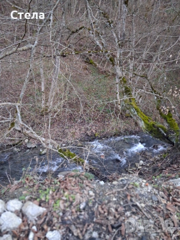 Къща, снимка 3 - Къщи - 50657375