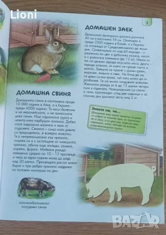 Книжки +флумастери, снимка 6 - Детски книжки - 51515957