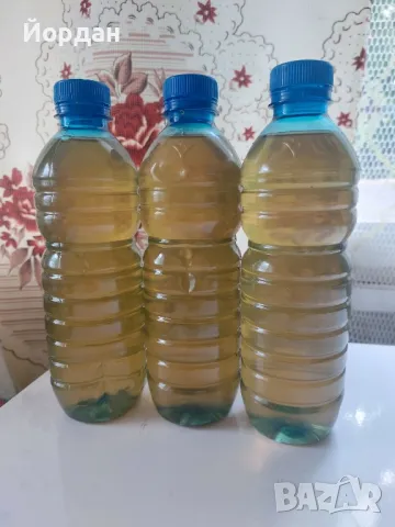 Домашен оцет с гъба