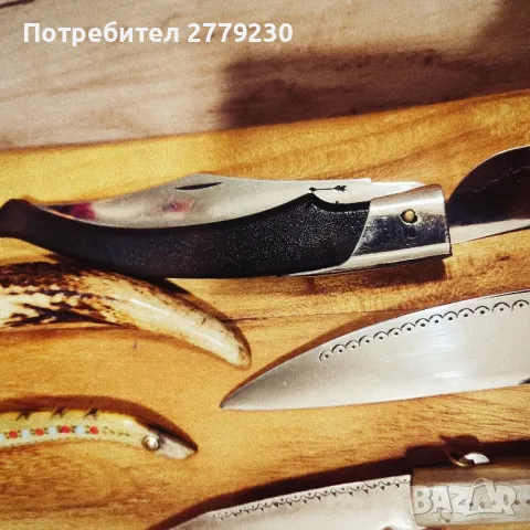 Габровски сойки от колекция Нови!, снимка 8 - Колекции - 50437855