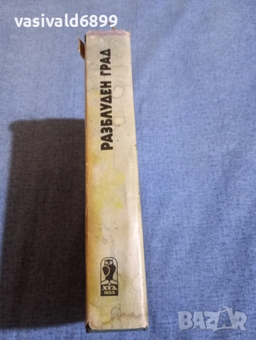 Джеймс Плънкет - Разблуден град , снимка 2 - Художествена литература - 52636569