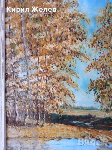 Александър СИМЕОНОВ / Бургас ЖИВОПИСНА АВТОРСКА МАСЛЕНА КАРТИНА ГОРСКИ ПЕЙЗАЖ, снимка 4 - Картини - 45578765